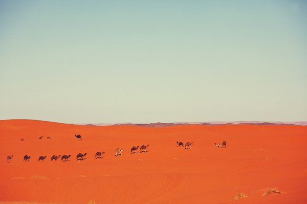 Quels sont les meilleurs itinéraires pour un voyage en canoë dans le Sahara ?
